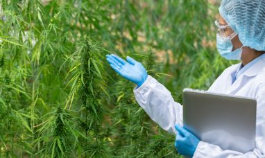 IM Cannabis Explores U.S. Market Entry Following President Trump’s Executive Order on Increasing Medical Ma...