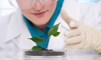 OCTO Skincare Launches at Milan Fashion Week 2025