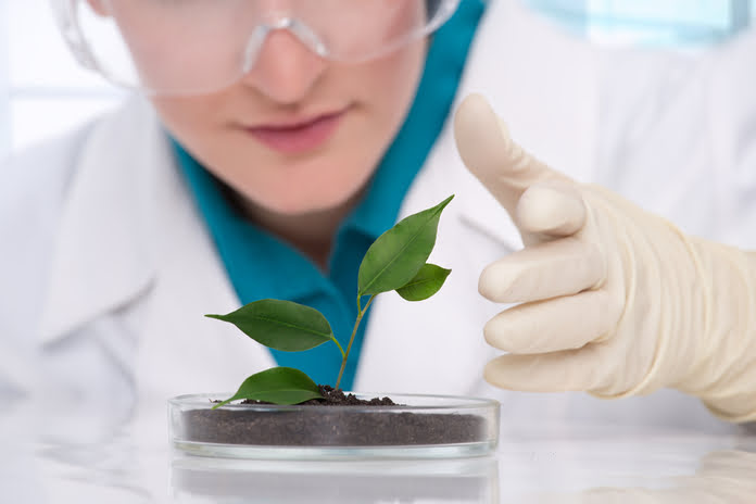 0fb04ec55214073ce16b67537d44c1b6 OCTO Skincare Launches at Milan Fashion Week 2025