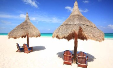 Keio Plaza Hotel Tokyo Wins Grand Prize at Eco Mark Award 2025