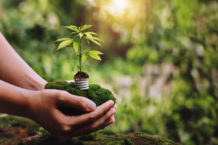 28519ad44245fa415a43faaebbafcedb Distru and Metrc Partner to Launch "DistruLabels" -- A Free MRID-Integrated Label Generator for Cannabis Operators