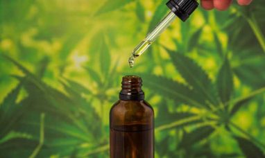 High Tide Recaps Key Milestones of 2025