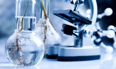 Vivacta Bio Announces Promising First-in-Human Results for GT801, an In Vivo CAR-T Therapy, in Non-Hodgkin’...