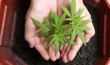 Mercanto Launches Vape Cartridges in Québec — Now Available In-Store and Online