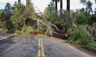 Medellín seeks to attract US visitors who value “respect for community”