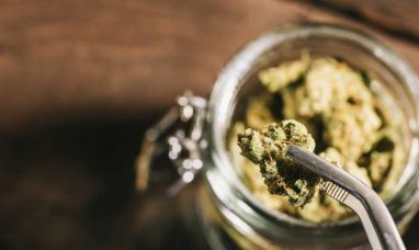 DeMonet Highlights Cannabis as a Safer, Supported Alternative for Canadians Re-Thinking Alcohol in Dry January an...