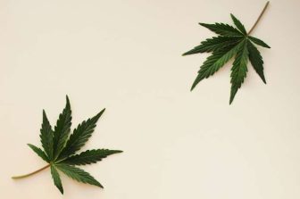 The American Legion National Commander Joins President Trump for Executive Order Reclassifying Cannabis