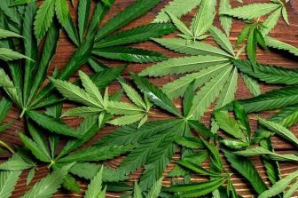 Trulieve to Open Medical Cannabis Dispensary in Fort Myers, Florida