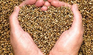 2026 Outlook: Cannabis Industry Matures Despite Challenges; Cultivation and Post Harvest Tech Take Center Stage