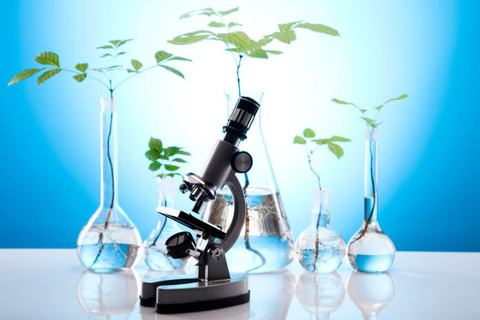 d348f0745acb1cf15f3161dc193ba28f REGENXBIO Highlights Key 2026 Catalysts and Announces Positive Long-Term Functional Outcomes in Lead Duchenne Gene Therapy Program