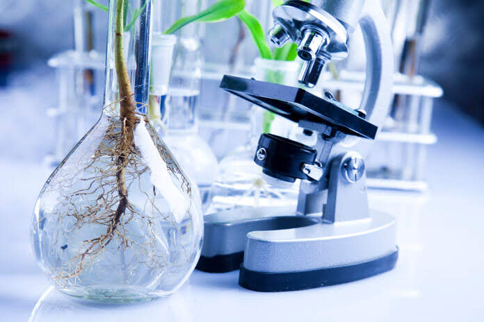 dd86bcc589293d85522b4b559955bcc3 AstronauTx appoints experienced biotech executive Adam Rosenberg as Chair of the Board