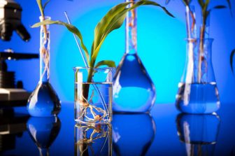 J INTS BIO Reports Fourth-Generation EGFR Inhibitor JIN-A02 in Clinical Cancer Research