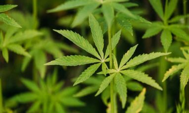 Independent Proxy Advisory Firms, ISS and Glass Lewis, Recommend MTL Shareholders Vote FOR the Arrangement Resolu...