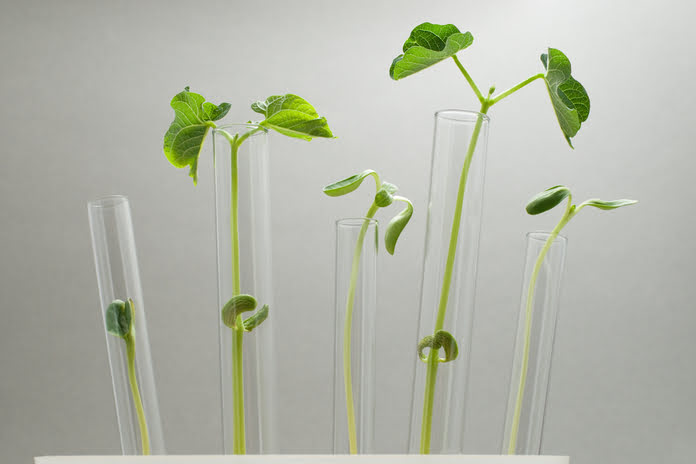 4e0ffdafb4f7b2c21306bf31d14655fa 1 Neurophet Secures FDA 510(k) Clearance for "Neurophet AQUA AD Plus," Marking Its Third U.S. Regulatory Milestone