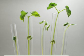 Trace Biosciences Announces FDA IND Clearance for First Nerve-Specific Imaging Agent