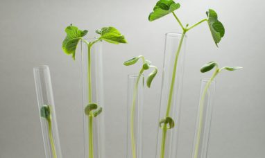 Trace Biosciences Announces FDA IND Clearance for First Nerve-Specific Imaging Agent