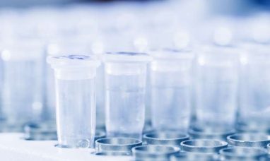 Boehringer Ingelheim Secures Emergency Use Authorization for IVOMEC® (ivermectin) 1% Injection to Help Protect Ca...