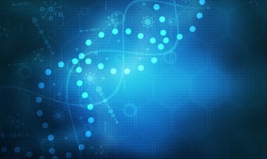 Kanazawa University research: Wnt signaling drives s...