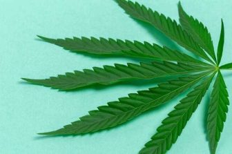 Innovia Consulting Announces Acquisition of 365Vertical and 365 Cannabis, Expanding Its Industry Focused Microsoft Business Applications Portfolio