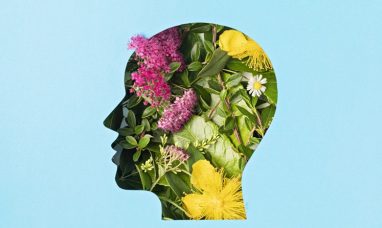 Aphranel Launches “The Poetics of Time” Brand Strategy at IMCAS Paris, Redefining Long-Term Value in ...