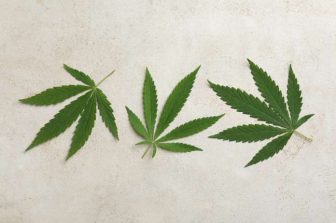 Trulieve Announces Executive Automatic Securities Disposition Plan