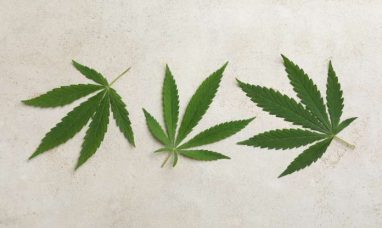 Trulieve Announces Executive Automatic Securities Disposition Plan