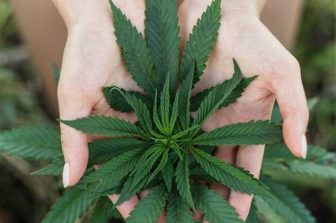 Kiva Sales & Service (KSS) Signs Letter of Intent to Combine with Petalfast, Creating California’s Most Powerful Cannabis Distribution Platform