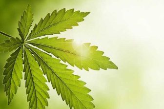 Mercanto Holdings Inc. Reports Q2 2026 Financial Results and Provides Commercial Update on Québec Product Launches