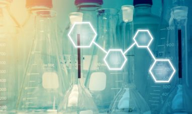 Human Identification Market worth $1.69 billion by 2031 | MarketsandMarkets™