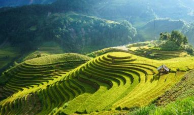 RVezy Wins 2025 Stevie Award for Customer Service Department of the Year