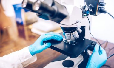 Inhibrx To Host Webcast Presentation to Provide Clinical Update on Ozekibart (INBRX-109) in Late Line Colorectal ...