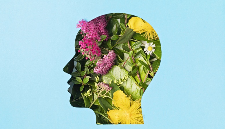 e356f22ba351b472d5788bf517f4d435 ZINZINO AB (PUBL.): ANNA FRICK RESIGNS FROM THE BOARD OF ZINZINO