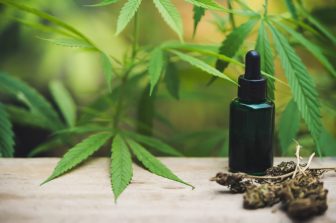 WWE Hall of Famer and Professional Wrestler Rob Van Dam Launches Line of Wellness Products, a Strategic Move in the Rapidly Growing Cannabis Industry