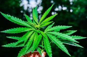 Pyxus International, Inc. Announces Fourth Quarter and Full Year Fiscal Year 2026 Financial Results Earnings Call