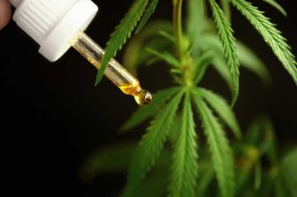 MEDICAL CANNABIS CONSORTIUM LAUNCHES FIRST MULTI-CLINIC PATIENT SURVEY OF ITS KIND