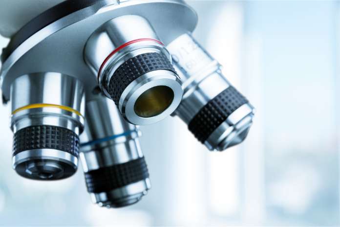 c694336e0708090d74dcf3c4f2367972 Protein Expression Market worth $7.65 billion by 2031 | MarketsandMarkets™