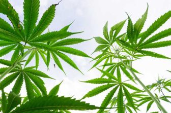 An InventHelp 123Invent Client Develops Modern Rolling Tray for Cannabis Users (BTK-600)