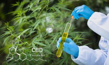 New Global Cannabis Report from GCNC and Whitney Eco...