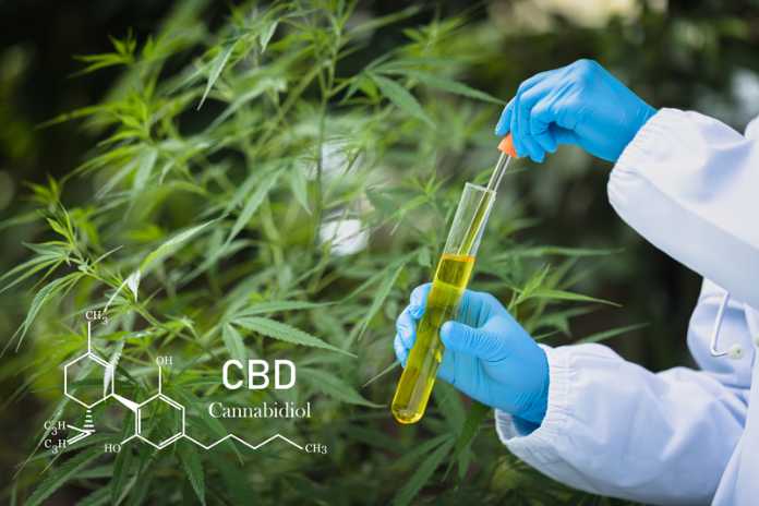 dc8b8d68459ad60068520d120693dca4 New Global Cannabis Report from GCNC and Whitney Economics Examines How Pricing Compression Reshapes Emerging Markets
