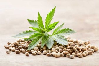 LeafLink’s 2026 Wholesale Cannabis Pricing Guide Now Available
