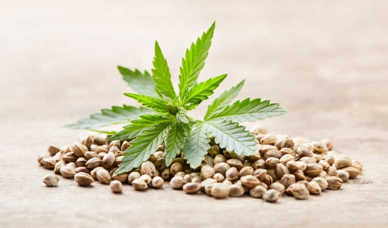 f86a549f8b2470bfef2a1a1335852069 LeafLink's 2026 Wholesale Cannabis Pricing Guide Now Available