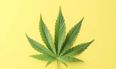 C21 Investments Reports Fourth Quarter and Fiscal Ye...