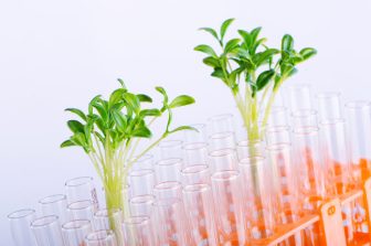 Servier and n-Lorem Foundation join forces to advance research in rare neurodevelopmental disorders