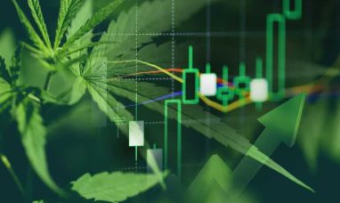 High Profile Cannabis Opens in Manchester, Offering Convenience for I-384 Commuters