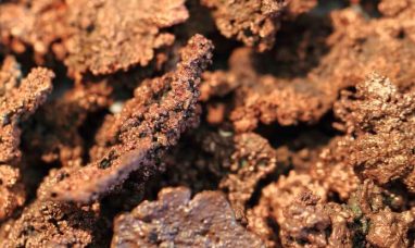 Titan Mining to Host Q2 2026 Update Call on August 12, 2026