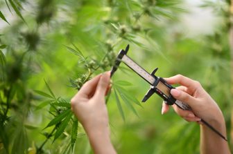 Oasis Launches Hemp-Derived Mixer