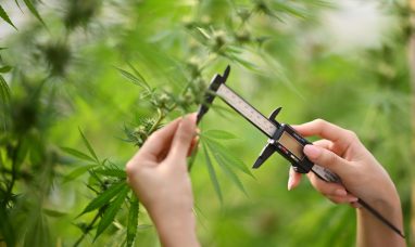 Oasis Launches Hemp-Derived Mixer