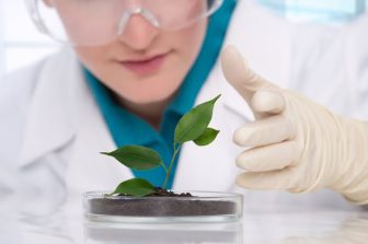 BioMarin Announces Global Settlement with Ascendis Pharma A/S; Ascendis Will Pay Royalties to BioMarin on Yuviwel Sales in U.S., EU, Brazil and South Korea