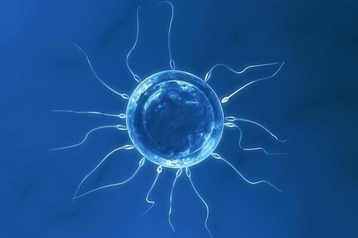 37e97346d8fe59dfe91d6edb84dd365d Oculis Signs Asset Purchase Agreement with Accure Therapeutics for Lead Candidate, Privosegtor, Fortifying Oculis’ Position as an Emerging Leading Neuro-Ophthalmology Company