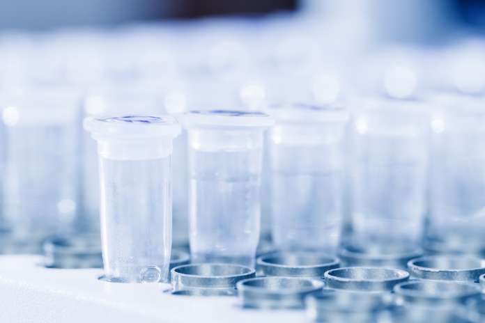 4f0160bc6025c6ec329e95ba63987480 Eloxx Pharmaceuticals Reports Second Quarter 2026 Financial Results and Provides Business Update